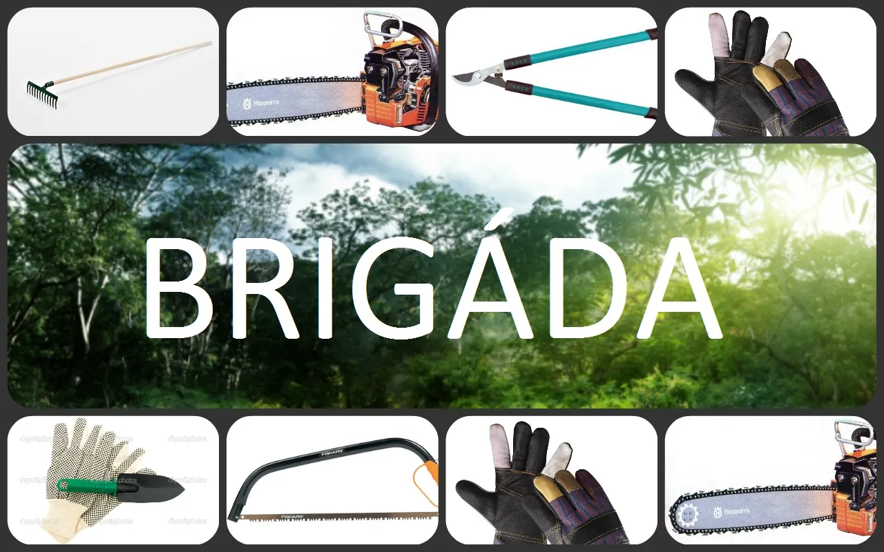 Brigáda - zprůchodnění cesty divočinou