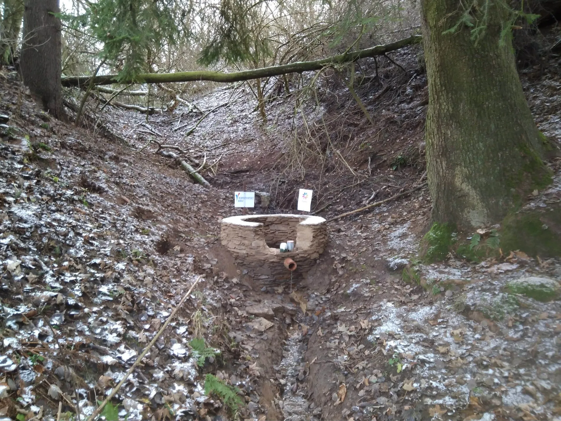 Nová studánka v Černém lese