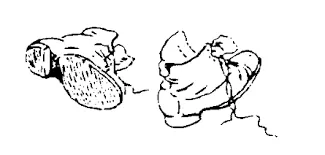 Poděkování za pochod