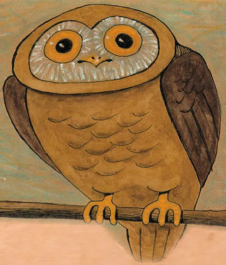 Stezka sovy Rozárky